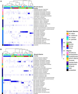 Comprehensive Ecological and Geographic Characterization of Eukaryotic and Prokaryotic Microbiomes in African Anopheles